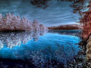 Превью обои деревья, иней, озеро, цвета, синий, белый, оттенки, отражение, холод, заморозки, небо
