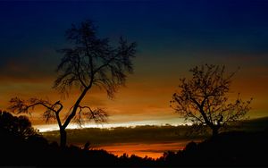 Превью обои деревья, изгибы, очертания, ветви, закат, оранжевый, высота, небо, облака, сумерки, вечер