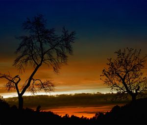 Превью обои деревья, изгибы, очертания, ветви, закат, оранжевый, высота, небо, облака, сумерки, вечер