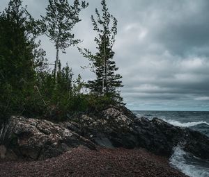 Превью обои деревья, камни, берег, море