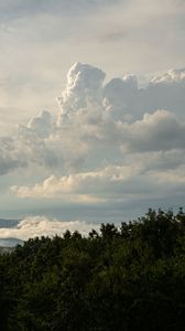 Превью обои деревья, кусты, облака, небо