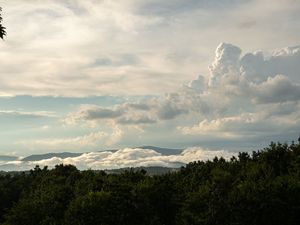 Превью обои деревья, кусты, облака, небо