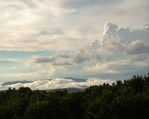 Превью обои деревья, кусты, облака, небо