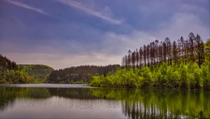 Превью обои деревья, кусты, озеро, отражение, небо, облака