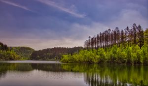 Превью обои деревья, кусты, озеро, отражение, небо, облака