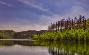 Превью обои деревья, кусты, озеро, отражение, небо, облака