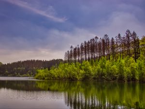 Превью обои деревья, кусты, озеро, отражение, небо, облака