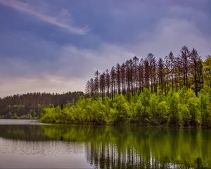 Превью обои деревья, кусты, озеро, отражение, небо, облака