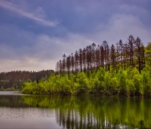 Превью обои деревья, кусты, озеро, отражение, небо, облака