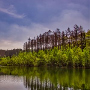 Превью обои деревья, кусты, озеро, отражение, небо, облака