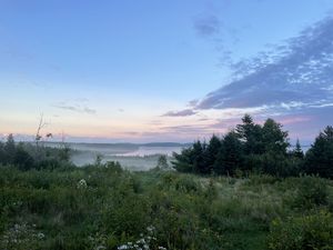 Превью обои деревья, кусты, трава, пейзаж