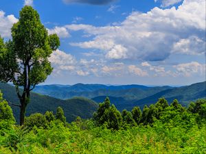 Превью обои деревья, кусты, трава, горы, облака, небо, пейзаж