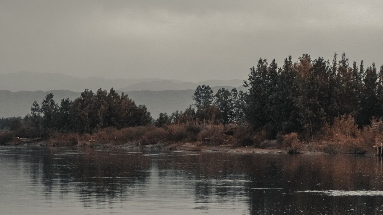 Обои деревья, кусты, вода, отражение