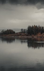 Превью обои деревья, кусты, вода, отражение