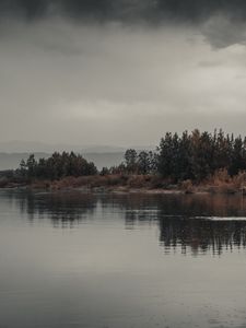 Превью обои деревья, кусты, вода, отражение