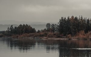 Превью обои деревья, кусты, вода, отражение