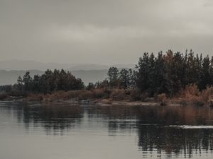 Превью обои деревья, кусты, вода, отражение