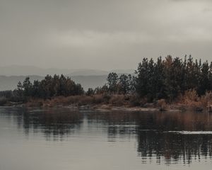 Превью обои деревья, кусты, вода, отражение