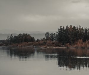 Превью обои деревья, кусты, вода, отражение