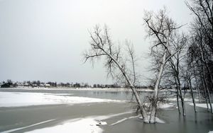 Превью обои деревья, лед, озеро, зима, заморозки, ноябрь