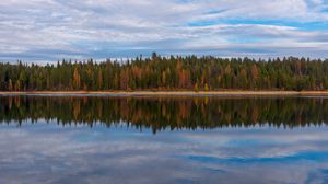 Превью обои деревья, лес, берег, отражение, озеро, природа