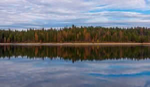 Превью обои деревья, лес, берег, отражение, озеро, природа