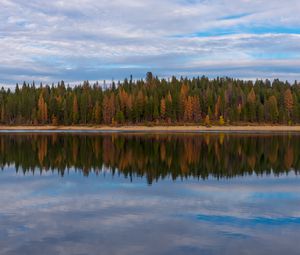 Превью обои деревья, лес, берег, отражение, озеро, природа