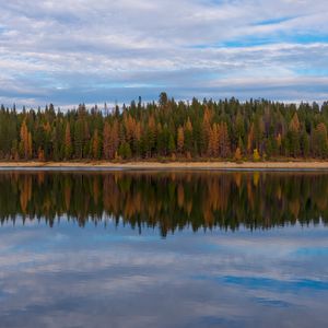 Превью обои деревья, лес, берег, отражение, озеро, природа