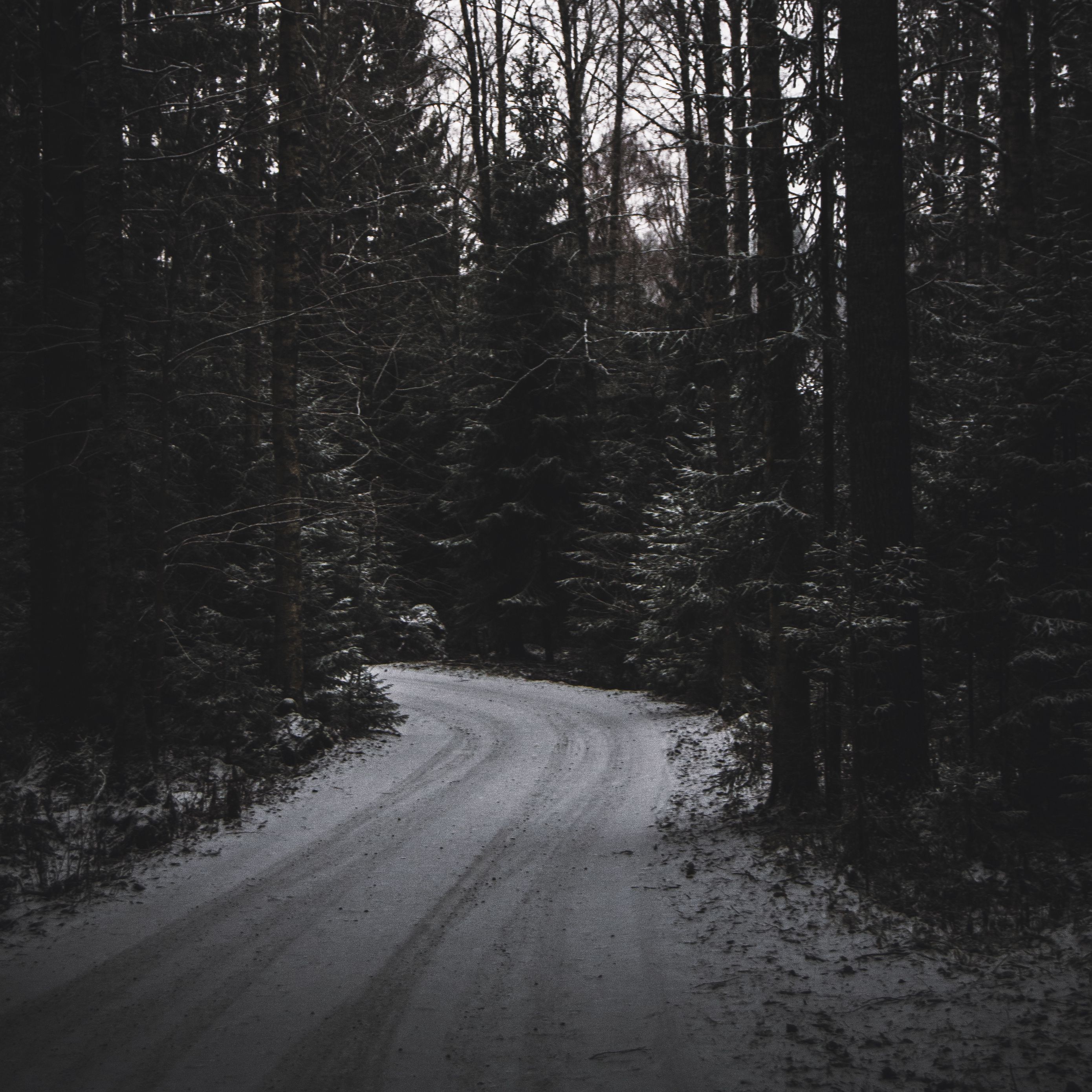 It is turning dark. Черный лес и дорога. Темный поворот. Дерево на дороге жизни. Темные обои с человеком.