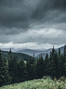 Превью обои деревья, лес, горы, небо, трава