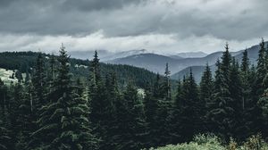 Превью обои деревья, лес, горы, небо, трава