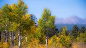 Превью обои деревья, лес, горы, вид сверху, природа, осень
