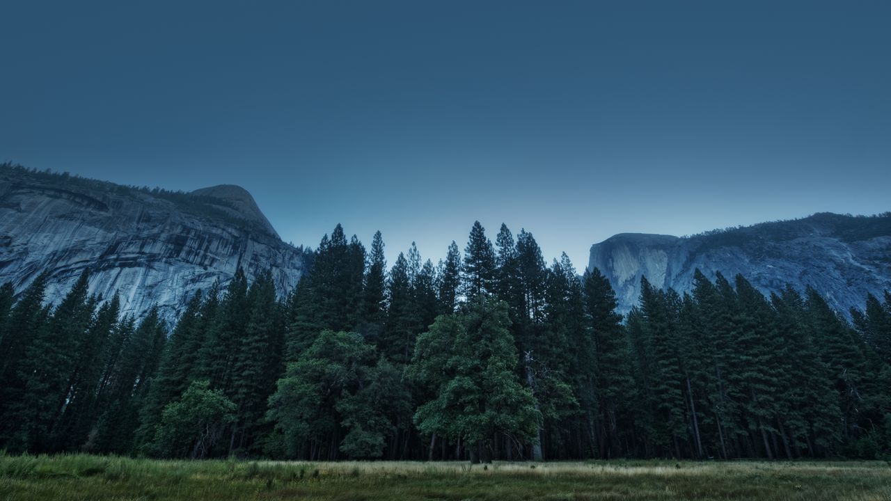 Обои деревья, лес, горы, сша, штат калифорния, долина йосемити, национальный парк