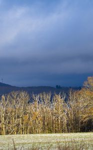 Превью обои деревья, лес, холмы, горы, пейзаж, облака, небо, природа