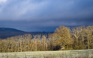 Превью обои деревья, лес, холмы, горы, пейзаж, облака, небо, природа