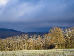 Превью обои деревья, лес, холмы, горы, пейзаж, облака, небо, природа