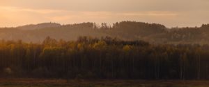 Превью обои деревья, лес, луг, природа