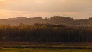 Превью обои деревья, лес, луг, природа
