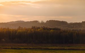 Превью обои деревья, лес, луг, трава, пейзаж