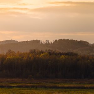 Превью обои деревья, лес, луг, трава, пейзаж