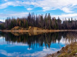 Превью обои деревья, лес, остров, озеро, отражение, природа