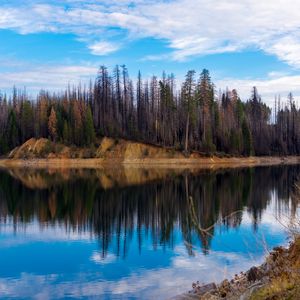 Превью обои деревья, лес, остров, озеро, отражение, природа