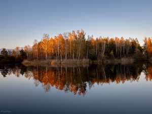 Превью обои деревья, лес, отражение, озеро, осень, пейзаж