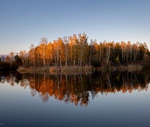 Превью обои деревья, лес, отражение, озеро, осень, пейзаж