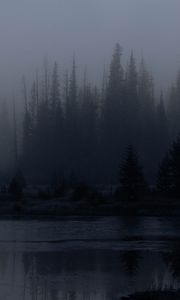Превью обои деревья, лес, озеро, туман, темный, природа