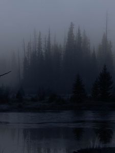 Превью обои деревья, лес, озеро, туман, темный, природа