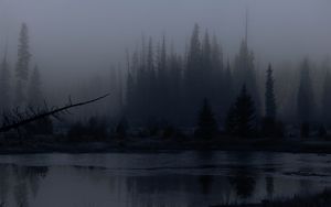 Превью обои деревья, лес, озеро, туман, темный, природа