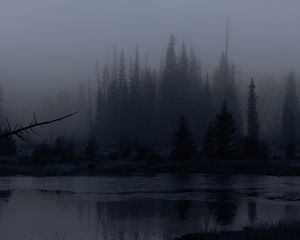 Превью обои деревья, лес, озеро, туман, темный, природа