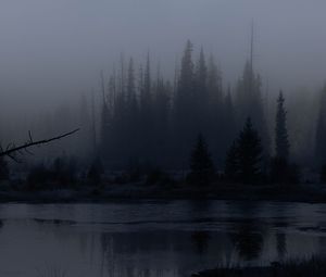 Превью обои деревья, лес, озеро, туман, темный, природа