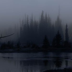Превью обои деревья, лес, озеро, туман, темный, природа